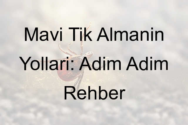 Nasıl mavi tik alınır