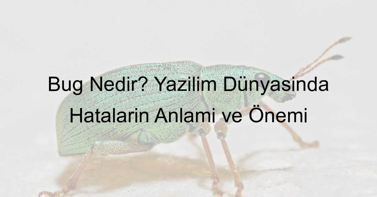 bug ne demek