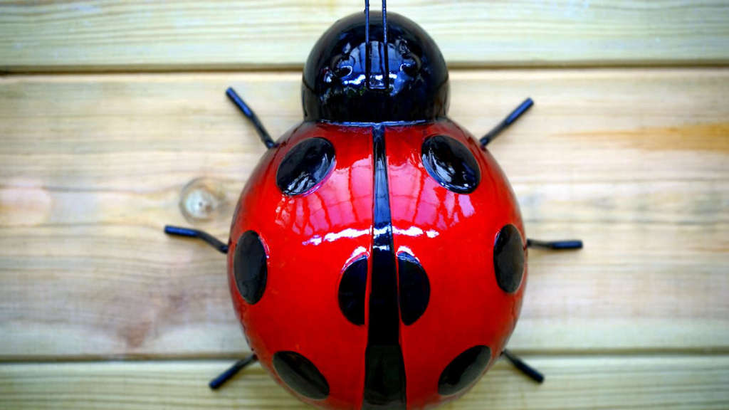 bug-ne-demek-465.jpeg