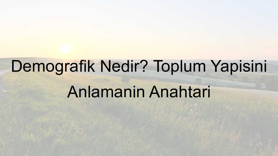 demografik ne demek