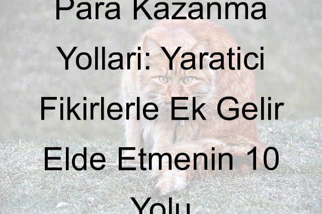 para kazanma yolları nelerdir