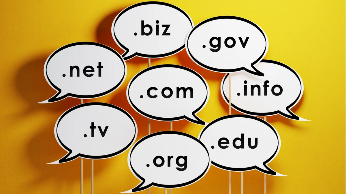 domain uzantilarinin anlamlari