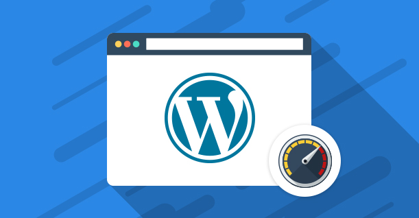 wordpress site hizlandirma