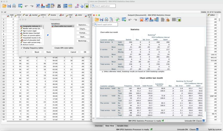 spss ne ise yarar