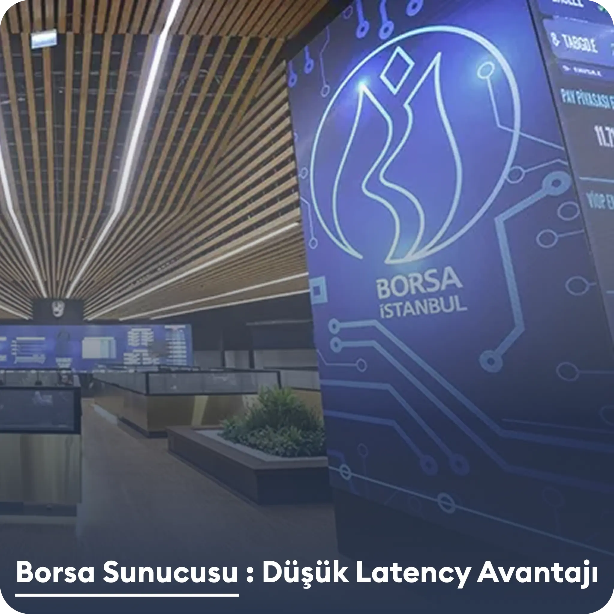 İdeal Data borsa sunucusu - Trading için düşük latency VDS